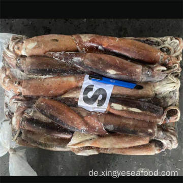 Ganzer runder gefrorener Illex Argentinus Tintenfisch